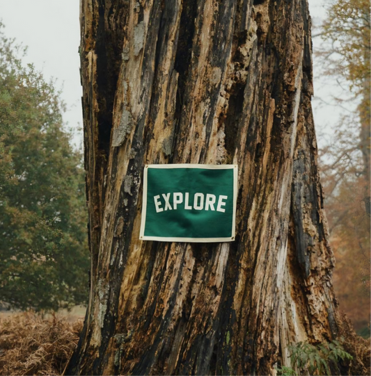 Oxford pennant camp flag wool banner "explore"